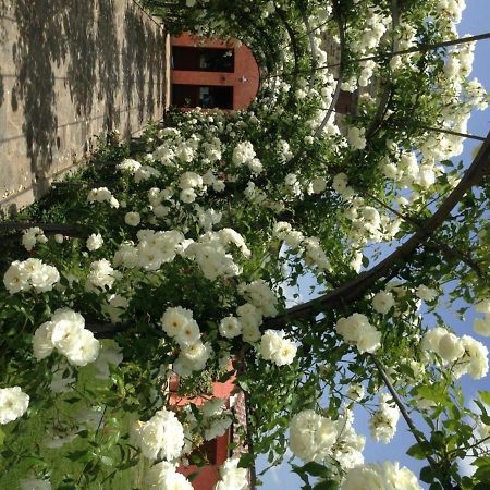 Agriturismo Casale Le Selvette Ripa Экстерьер фото