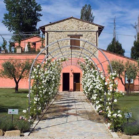 Agriturismo Casale Le Selvette Ripa Экстерьер фото