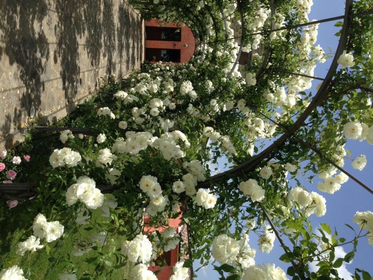 Agriturismo Casale Le Selvette Ripa Экстерьер фото