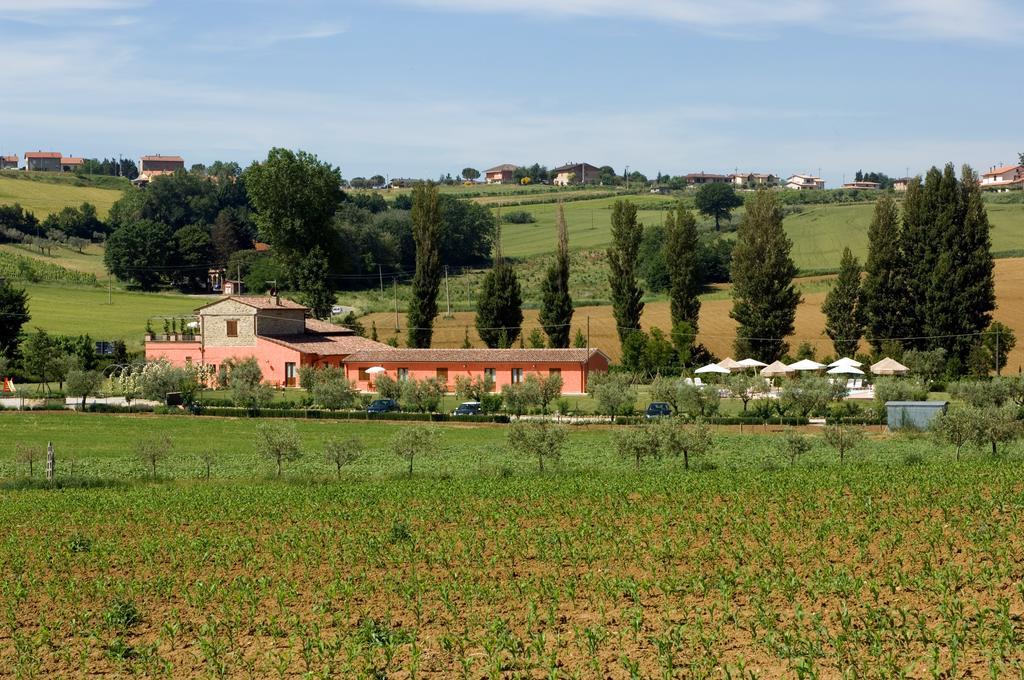 Agriturismo Casale Le Selvette Ripa Экстерьер фото